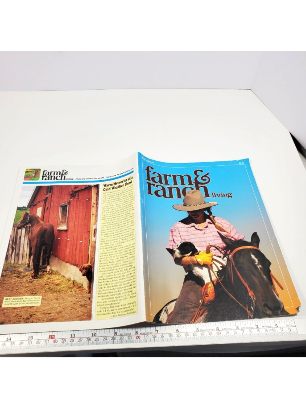 Farm & Ranch Living Magazine April May 1994 Rural Horse Dog Cover - Picture 14 of 14